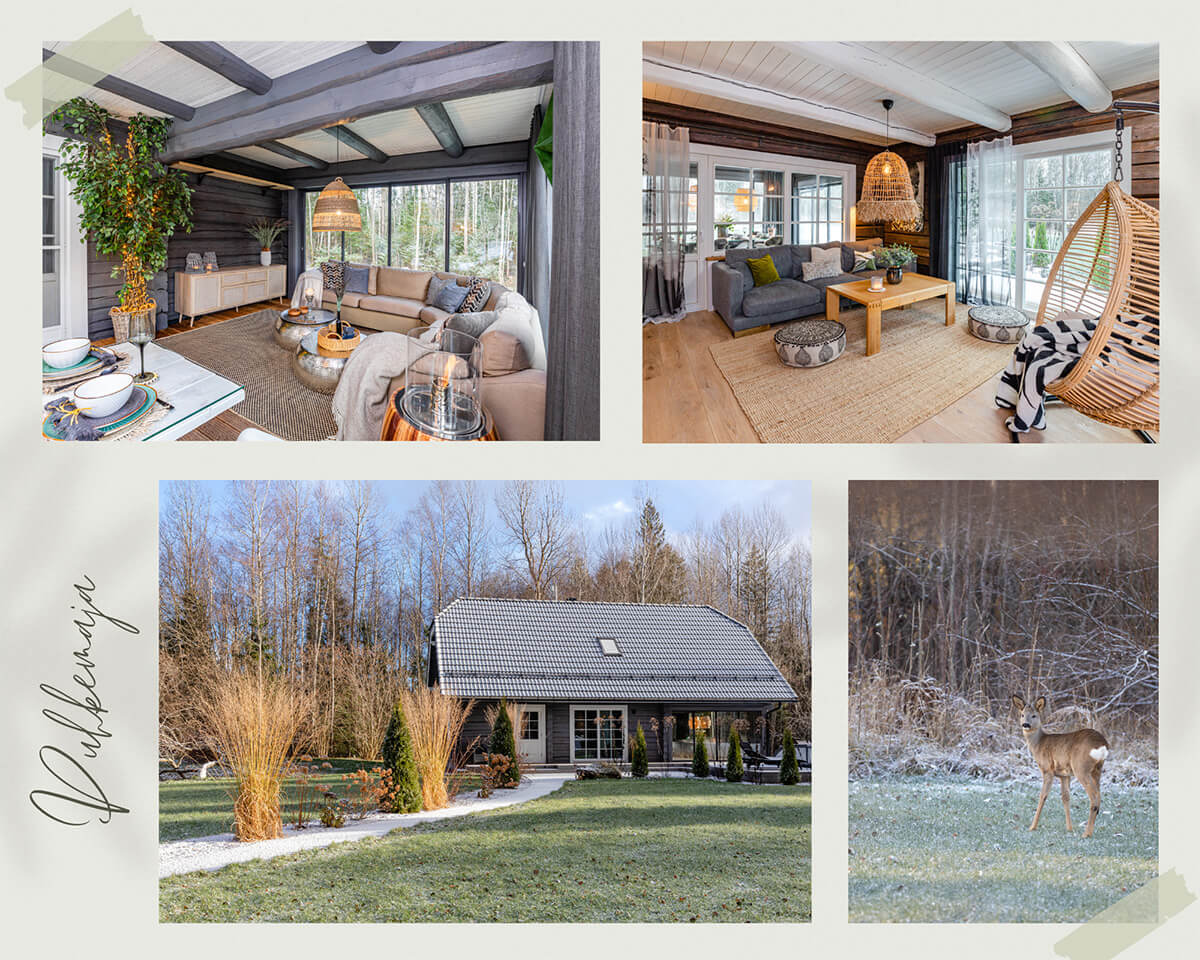 Puhkemaja Üksnurme küla Saku vald